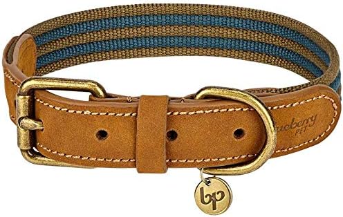 Blueberry Pet Soft & Comfy Genuine Full Grain Leather & Polyester Combo Adjustable Dog Collar - Classic Staple Striped in Navy and Olive, Small, Neck 12"-15"