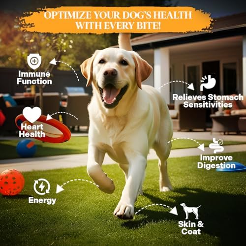 Healthy Dogma - PetMix Dehydrated Dog Food - Food for Dog Sensitive Stomach, Clean Ingredient Dog Meal - No Preservatives, Homemade Dog Food (Tender Tummy, 2 lbs)