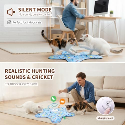Interactive Touch Activated Hide and Seek Cat Toys for Indoor Cats, Blue
