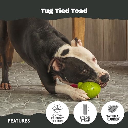 BarkBox Tug Tied Toad Dog Toy - for Large Dogs