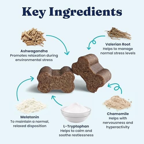 Solid Gold Calming Chews for Dogs with Melatonin for Storms & Travel, 60ct