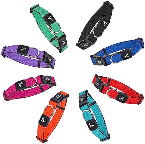 Dog Collar for Medium Dogs (Width- 3/4", Length - 17"-21.5") | Adjustable Padded Mint Green Dog Collar with Heavy Duty D-Ring | Soft Comfortable Fit for Medium Dogs | (Mint Green, Medium)