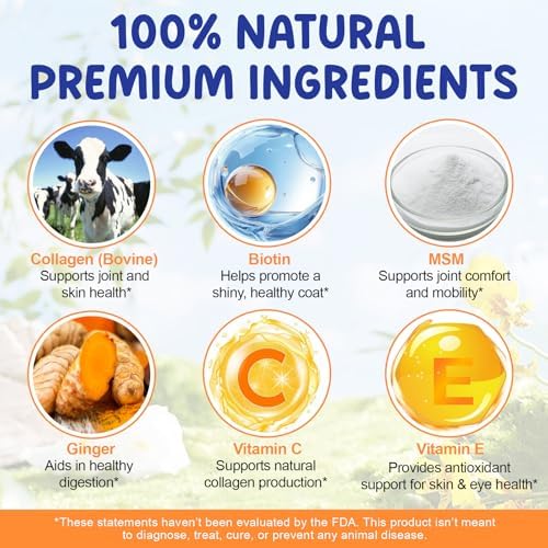 Liquid Collagen for Dogs, Dog Joint Supplements, Skin and Coat Supplement, Dry and Itchy Skin Relief, Support Digestive Health, Dog Collagen Drops with Biotin, MSM, Ginger, Bacon Flavor