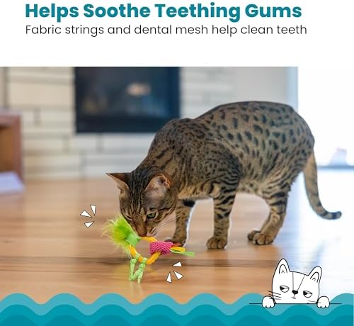 Catstages Dental Pineapple Teether – Chew Toy for Cats and Kittens – Textured Fabric and Mesh – Coated in Catnip Oil – Supports Teething Relief