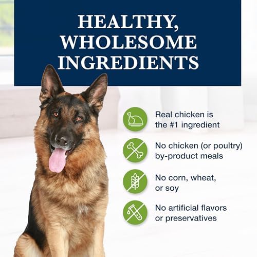 Blue Buffalo Natural Veterinary Diet GI Support Chicken Dry Dog Food, 6 lb