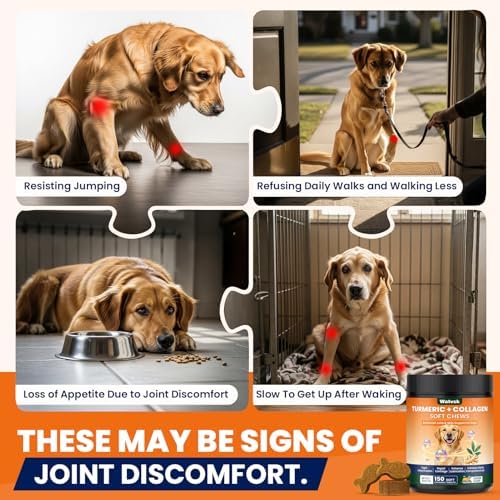 New Upgrade 4 in 1 Advanced Joint Supplement for Dogs Anti Inflammatory Pain Relief Joint Health Turmeric Collagen Hyaluronic Acid Pepper Cartilage Joint Lube All Dog Breeds Chicken 150 Chews