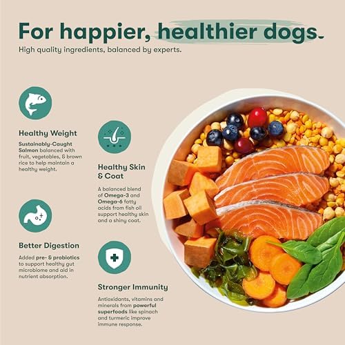 Jinx Grain Free Dry Dog Food, Small Breed - Real Salmon, 4lb