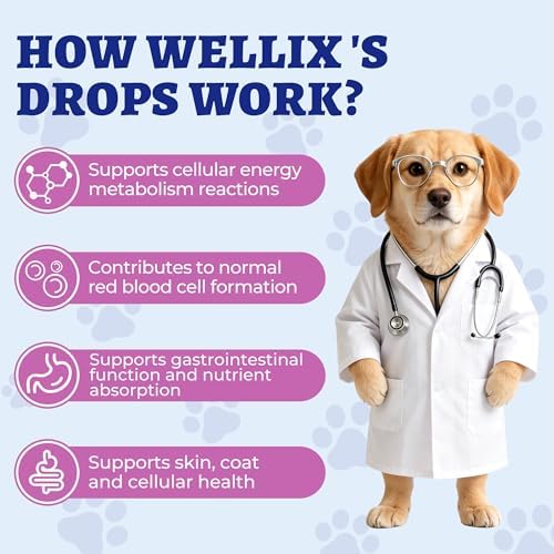 Wellix 4.06 fl oz Vitamin B Complex Drops with Taurine for Dogs and Cats