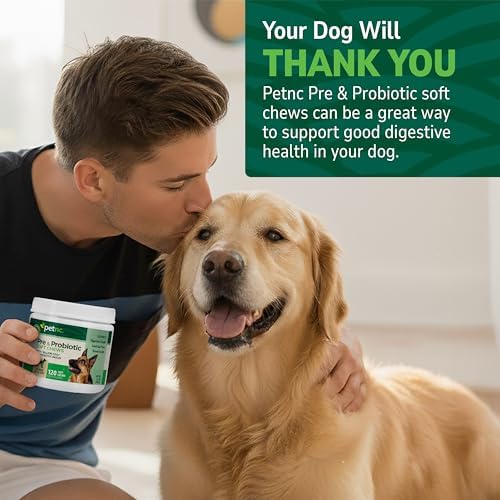 PetNC Natural Care Liver Flavor,Cheese Pre & Probiotic Soft Chews for Dog 120 ct (Packaging May Vary),(Pack of 2)