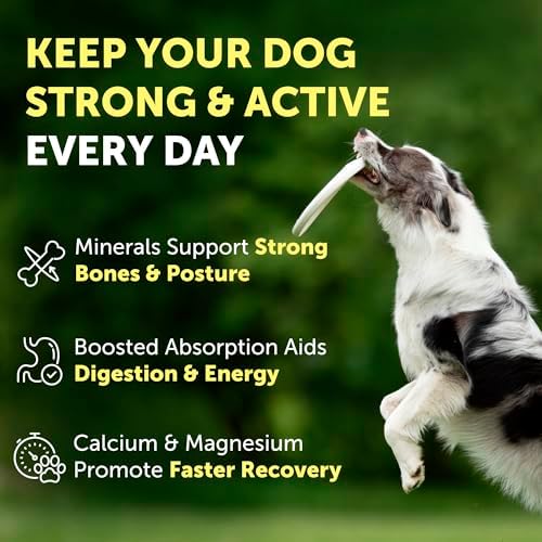 Nature's Protection Bones & Energy Supplement Powder for Adult Dogs, 9oz
