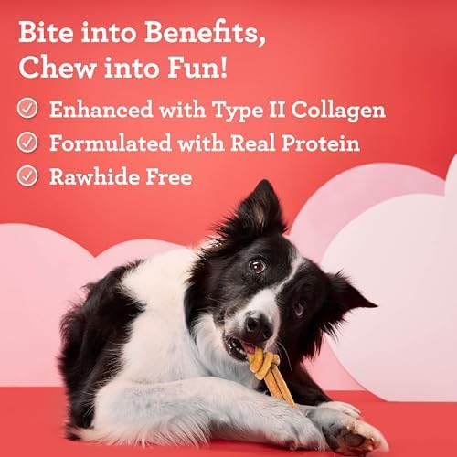 DreamBone CollaYUMS Knots Plus Collagen Rawhide-Free Dog Treats, 8 Count