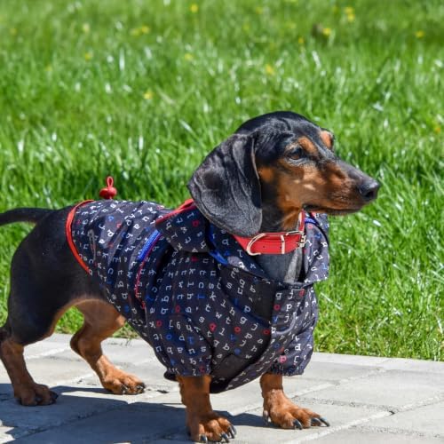 4pcs Adjustable Dog Collar for Puppies and Small Dogs with Pu Material and Breathable Design, for Walking and Training Sessions, Lightweight and Sturdy Neckwear for Enhanced Safety