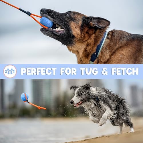 Dog Ball Toy with Rope, Durable EVA Foam Floating Dog Toy, Interactive Fetch & Toss n’ Train Tug Ball for Dogs, Bouncy Pet Ball for Outdoor Indoor Play - Blue, Large