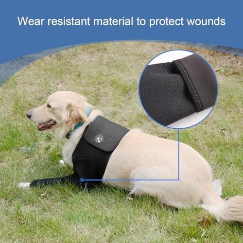 Coodeo Dog Recovery Suit, Cone Collar Alternative, Abrasion Resistant Dog Recovery Sleeve, Washable 2.5mm Thick and Waterproof, Pet Wounds Prevent Licking, Bite, Keep Dry (Black, S)