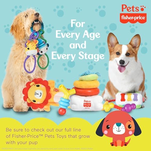 Fisher Price School Bus Rope Dog Toy