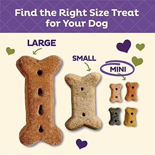 Old Mother Hubbard Wellness Classic Grain Free Pick of the Patch Dog Biscuits, Natural Training Treats, Pumpkin and Carrot Flavor, Mini Size. 16 oz Bag (Pack of 2)