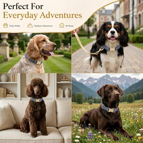 Soft Cotton Dog Collar Classic Plaid Pet Collars with Metal Clasp for Large Dogs with Sensitive Skin, Highland Blue Tartan