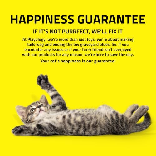 Playology Cat Toys | Catnip Toy Dangly Leg Frog for Chewing Chasing and Pouncing | Interactive Cat Toys for Indoor Cats