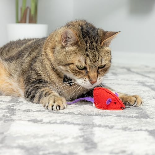 SPOT Felt Mice Catnip Toy | Soft, Colorful Multipack Interactive Cat Toy for Indoor Cats | Includes Catnip | 6 Pack in Assorted Colors