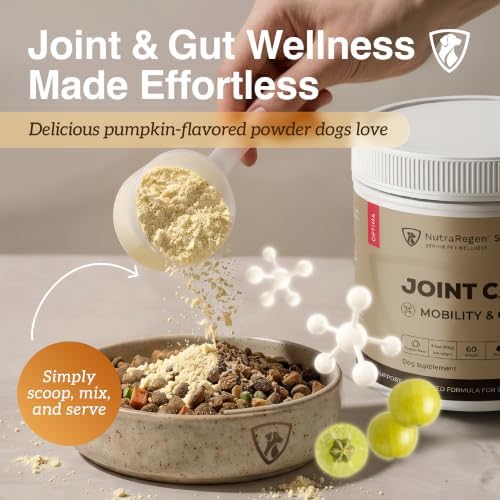NutraRegen Select Optima Dog Joint Supplement for Senior Dogs – Glucosamine, Chondroitin & MSM + Probiotics & Prebiotics – Mobility, Joint & Digestive Health – 60 Scoops