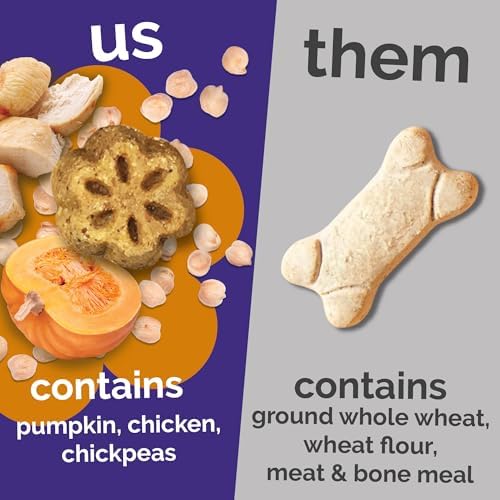 Fruitables Skinny Minis Dog Treats,Healthy Pumpkin Treat for Dogs,Low Calorie & Delicious,Puppy Training,No Wheat,Corn or Soy,Made in the USA,Rotisserie Chicken Flavor,5oz,(Pack of 2)
