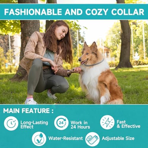 Flea and Tick Prevention for Dogs, 4-Pack Flea Collars, 32 Months, Grey