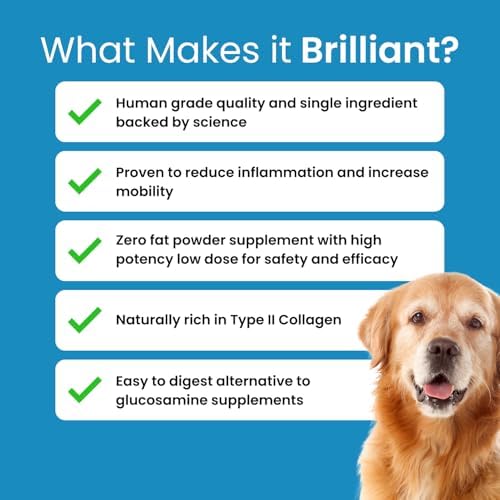 Hofseth BioCare Brilliant Bone & Joint Supplement for Dogs - High Strength Calcium & Collagen Powder for Joint & Hip Support, Essential Supplement for Dog’s of All Ages - 10.6 Oz
