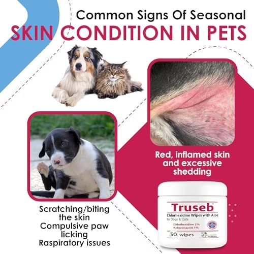 Chlorhexidine & Ketoconazole Medicated Dog & Cats Wipes 100ct Wipes for Hot Spots, Flaky Skin, Red Itchy Irritated Paws, Helps Clean, Deodorize,Irritated Skin Folds NDC: 86176-204-10 (Made in U.S.A)