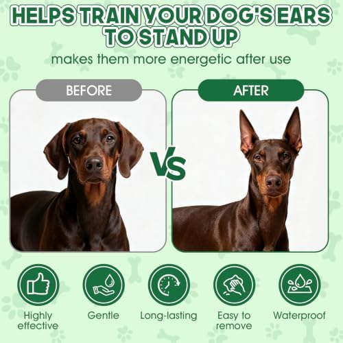 Doberman Ear Posting Kit, Waterproof, Long-Lasting, Easy Wash off with Soap