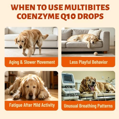 Coenzyme Q10 Drop & Taurine Suppelment for Dogs & Cats, 2 oz