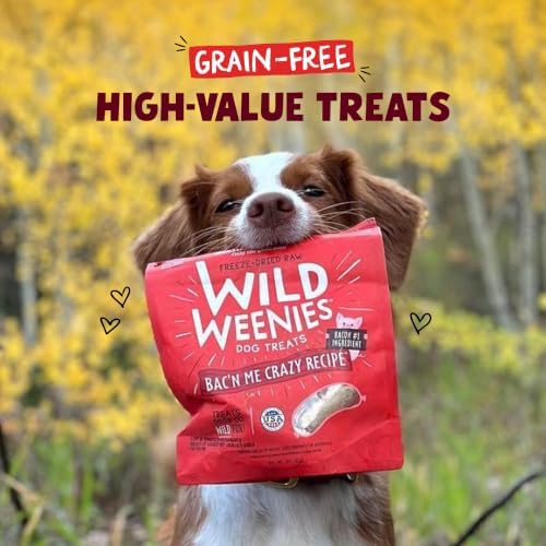 Stella & Chewy's Freeze-Dried Raw Wild Weenies Dog Treats - High-Protein Training Treats for Dogs & Puppies - All-Natural Bacon Recipe with 95% Meat & Organs - USA Made - 11 oz Bag