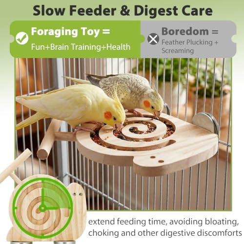 Bird Foraging Toys with Perch, for Novice/Older/Slow-Learning Birds