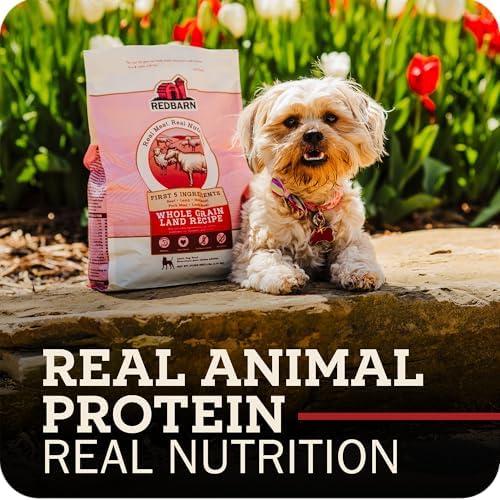 Redbarn Whole Grain Adult Dry Dog Food Kibble - Land Beef Recipe - Made in USA No Chicken Recipe with Functional Ingredients to Support Healthy Heart, Skin, Coat, Immunity & Digestion - 4lb