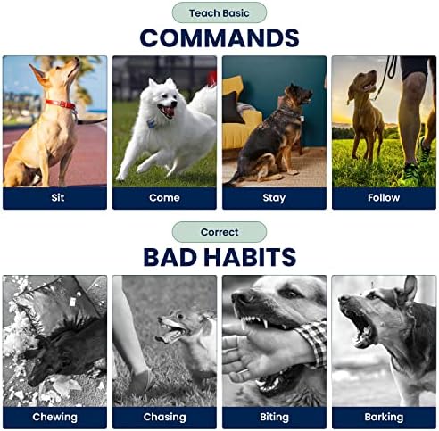 My Pet Command 1.25 Mile(6600 Ft) Long Range Dog Training Xtra Collar