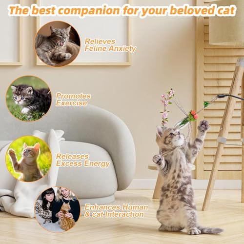 Cat Insect Feather Toys Replacement Cat Toy Wand Refills, 6 Pieces Natural Insect Cat Toy Feathers Refill, Interactive Cat Teaser Wand Attachments, with Bell(Style 8)