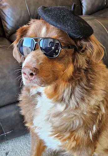 C18 Dog Pet Costume Set Retro Sunglasses Glasses + Beret hat Adjustable for Small-Medium Breeds Approximately 15-40 lbs Party Prop Cosplay Photoshoot (Aviator Black + Black Beret Hat)