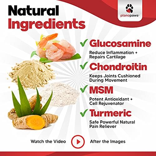 Glucosamine for Dogs Hip and Joint Supplement - Arthritis Support 120 Chews