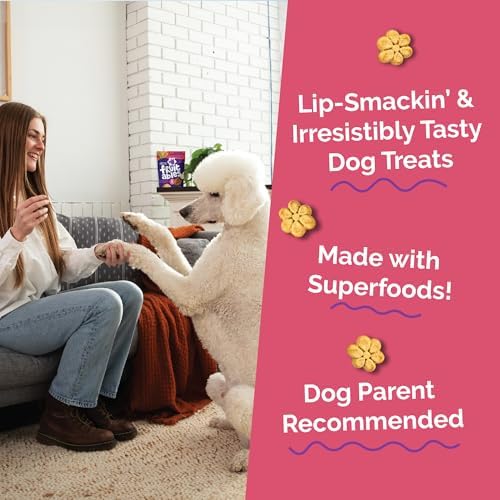 Fruitables Baked Dog Treats, Healthy Pumpkin Treat for Dogs, Low Calorie & Delicious, Made Without Wheat, Corn and Soy, Made in the USA, Allergy Friendly, Pumpkin and Apple Flavor, 32 oz (Pack of 2)