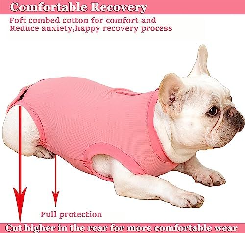 Recovery Suit for Female Dogs, Dog Cone Alternative After Spay