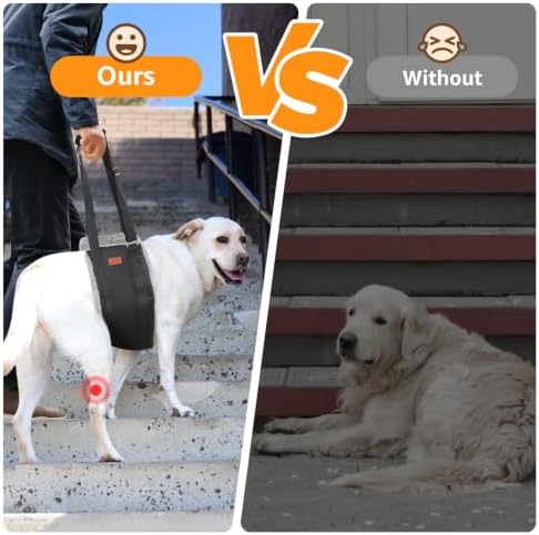 Adjustable Dog Sling for Large Dogs Hind Leg Support Weak Legs Mobility Aid