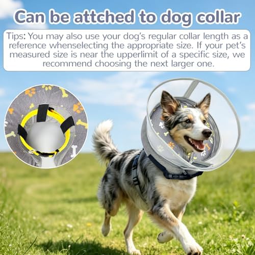 Inflatable Dog Cone Collar with Anti-Licking Clear Shield, for Dogs Cats