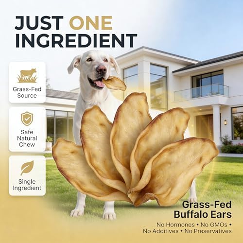 100% Natural Pet Treats 24 Pack Grass Fed Water Buffalo Ears for Dogs | High Protein Beef Cow Ears for Dogs Safe Rawhide Dog Treat Suitable for Small, Medium & Large Breeds Dogs Chews