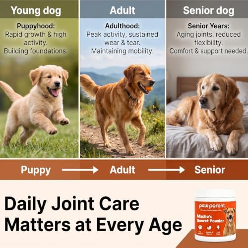 Paw Parent Macho's Secret Powder, Green Lipped Mussel Hip & Joint Powder for Dogs, Spine and Disc Powders, Cardiac Shield Formula with Glucosamine, Msm & Omega-3 for Mobility Support，1Pc