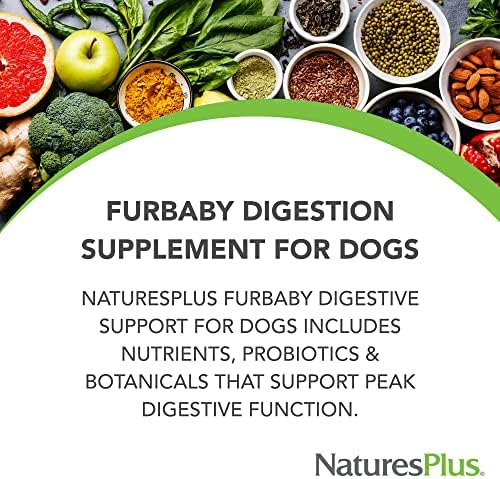 NaturesPlus FurBaby Digestive Support for Dogs - 7.4 oz - Promotes Optimal Digestion - Non-GMO - 60 Servings