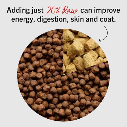 Stella & Chewy's Freeze Dried Raw Meal Mixers – Crafted for Puppies – Grain Free, Protein Rich Perfectly Puppy Beef & Salmon Recipe – 3.5 oz Bag