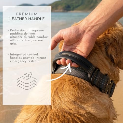 Dog Collar with AirTag Compatible Holder + Leash, Cobra Buckle, Padded, (L)