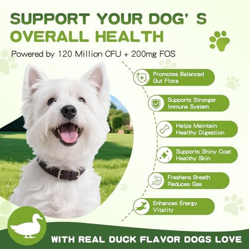 150 PCS Probiotics for Dogs, Dog Probiotics for Digestive Health and Diarrhea, Allergies & Immune Support Dog Probiotic Supplement, Daily Probiotics for All Dogs, Natural Duck Flavor