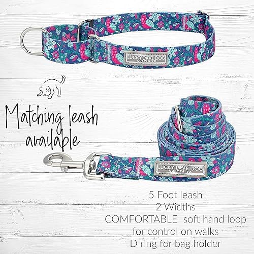 Lucky Love Dog Martingale Collar & Leash Set No Slip – Carriebelle, Small