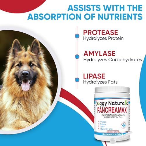 PancreaMax 10x Pancreatic Enzymes for Dogs and Cats (12 oz) Powder (Made in U.S.A). Pancreatin 10X for Dogs and Cats Contain Pancreatic Enzyme, High Strength, Low Odor.(10x Porcine Pancreatin)