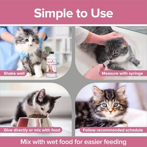 No More Tapeworms in Cats and Kittens- Dewormer for Cats and Dewormer for Kittens - 60mls Chicken Flavour with 3ml Dropper-USA Made Oral Suspension